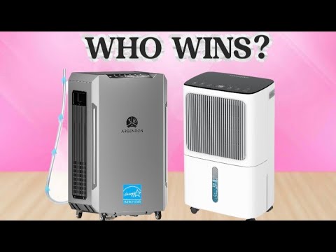 ✅ TOP 5: Best Dehumidifier 2026