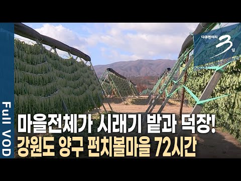 A basin surrounded by peaks towering 500 meters above sea level. 72 Hours of Yanggu Punchbowl Vil...