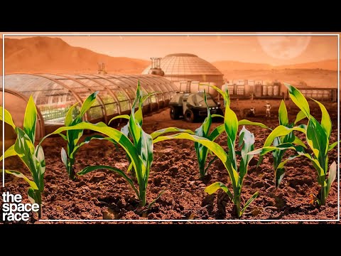 How We Will Farm In A Mars Colony!