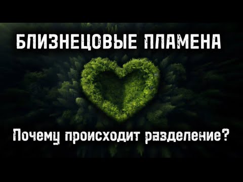 Почему происходит разделение близнецовых пламен? #бп #близнецовоепламя #близнецовыепламена