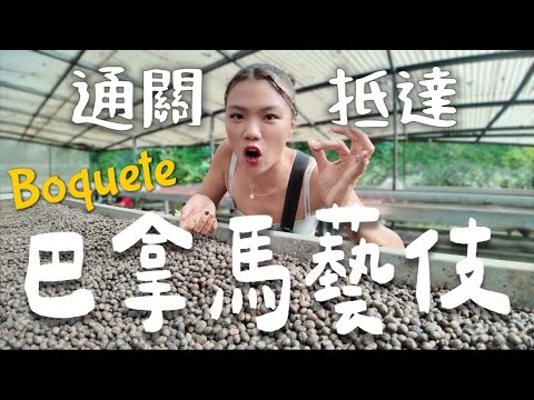 通關巴拿馬 🇵🇦 世界最貴藝伎？必去Boquete！巴拿馬人吃啥?｜Limit Trip Ep21