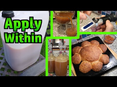 Making Cider (Part 1) - Also Other Apple-Related Experiments