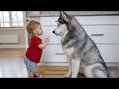 When Your Baby and Dog Act Like Twins 🐶