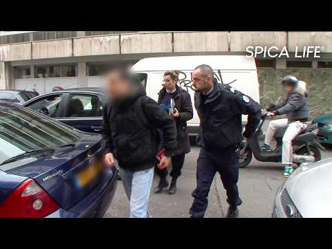 PARIS : la face cachée du XVIe arrondissement