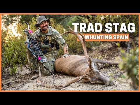 Traditional Bowhunting Red Stag. Recurve Bow Deer Spot and Stalk