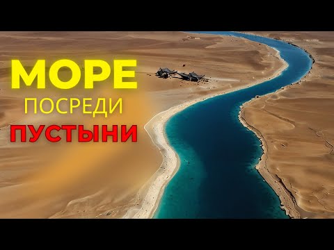 Все Смеялись Над Рыбными Фермами в Пустыне Китая — Пока Не Увидели Результат