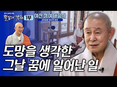 "막막해서 도망가야겠구나 생각했는데 그날 꿈에 노스님이 나타나서.." 월남전의 참혹함을 겪고 홀연히 떠난 출가 |뜰앞의 잣나무 17화 범어사 방장 여산 정여 대종사✨ #정여스님