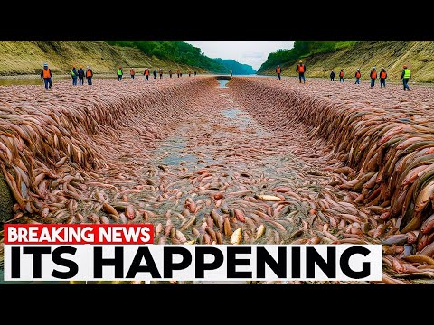 1 MIN AGO: US Issues KILL ON SIGHT Order For These 10 Invasive Monsters