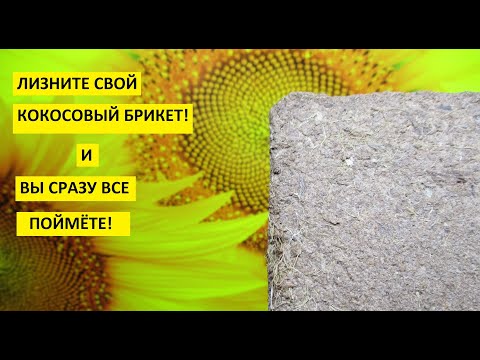 Кокосовый брикет. Ответы на все вопросы о кокосовом субстрате - что добавлять и чем размачивать.