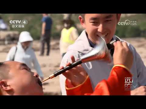 《远方的家》 20230828 天下黄河（49） 黄土高坡焕新颜|CCTV中文国际