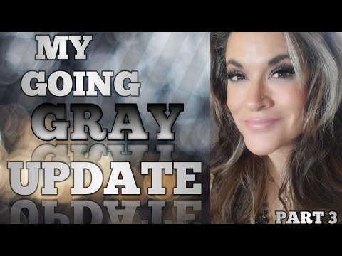 How to go gray FAST without cutting your hair Update part 3