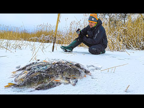 ❄️НА ЩО ЛОВИТИ, 🐟 коли окунь Є але НЕ КЛЮЄ? Зимова риболовля на балансир і безмотилки.