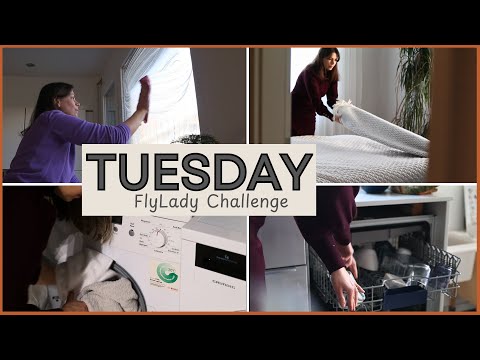 Clean With Me – 5 Days to a Peaceful Home (FlyLady Challenge). TUESDAY