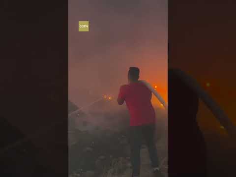 Israeli settlers attack Palestinian village near Ramallah, burn homes, farmlands