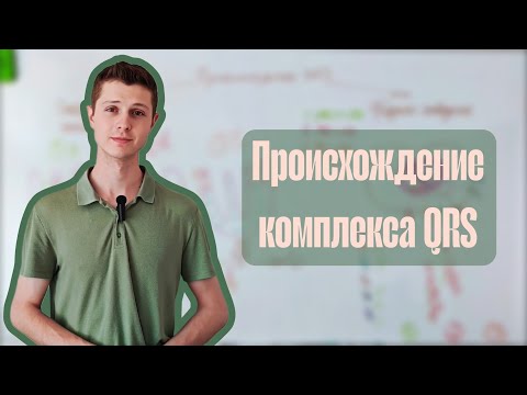 Происхождение комплекса QRS на ЭКГ.