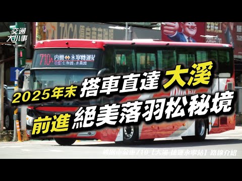 2025年末最新！搭車再訪大溪，欣賞絕美落羽松秘境｜走訪古道，享受森林浴和豐富生態，及在大溪才看得到的罕見水利設施，半日遊一次滿足！Ft.阿雰《搭公車旅行趣》桃710 【永寧轉運站～大溪】｜交通大小事