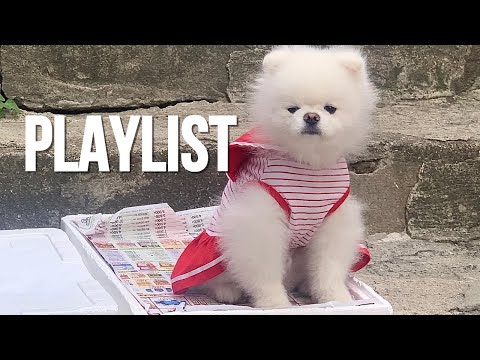 [𝐏𝐥𝐚𝐲𝐥𝐢𝐬𝐭] 🖤 호야(남아/3세)ㅣ감성힙합 플레이리스트