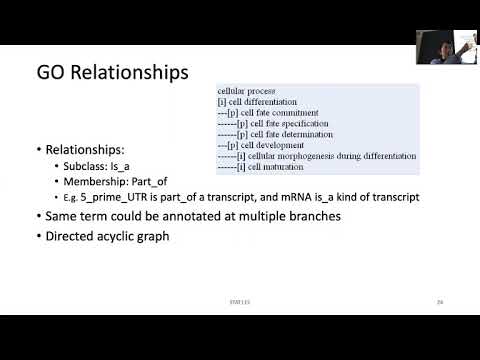 STAT115 Chapter 5.5 Gene Ontology