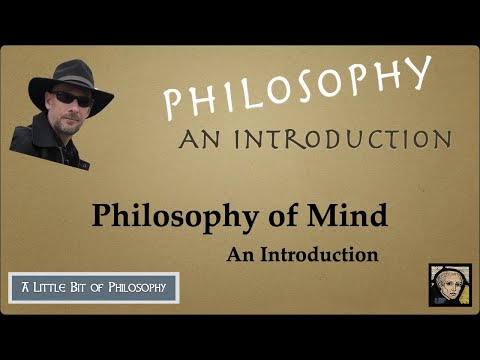 Introduction to Philosophy of Mind