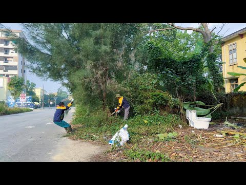 Part 2: The SCARIEST sidewalk I’ve ever cleaned up, trees covering more than half of the roadway