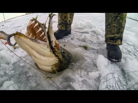 Incredible Fishing Moments