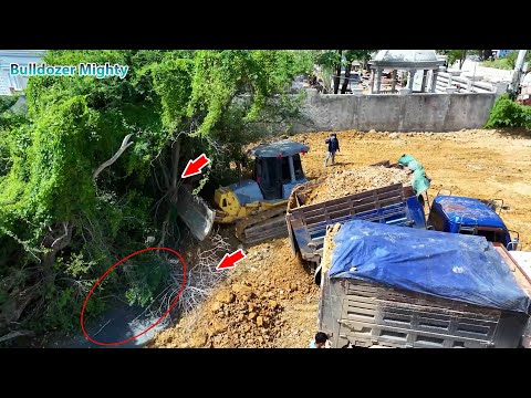 Bulldozer KOMATSU DR51PX Push forest​, Processing Filling up land huge, Dump Truck Unloading