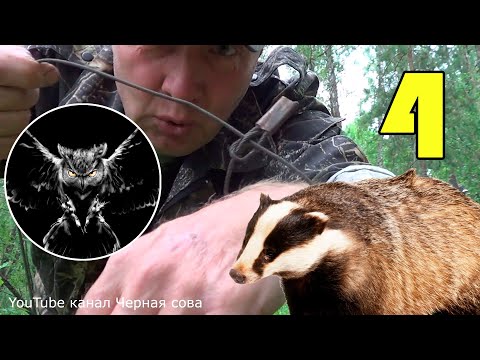 Охота на барсука, волка. Надёжная петля