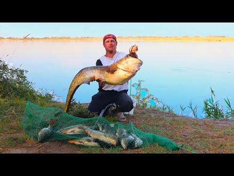 Осенний трофей! Рыбалка на реке ИЛИ АРАЛТОБЕ! КРУПНЫЙ САЗАНЧИК! ЦОМЯН ЛАГМАН НА ПРИРОДЕ!