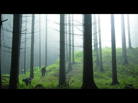 Roms vergessener Feldzug: Die Entdeckung des antiken Schlachtfeldes am Harzhorn