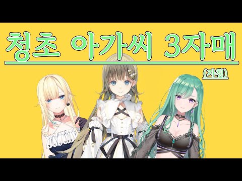 가장 청초한 멤버가 누구라고?｜브이스포｜하나부사 리사｜야쿠모 베니｜아이자와 에마