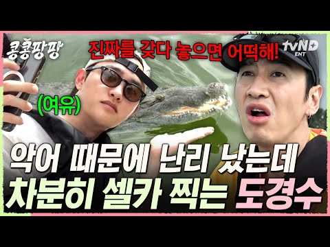 [#콩콩팡팡] 이광수 목소리 데시벨 주의⚠️ 악어 앞에서 기겁하는 불안형 이광수와 셀카 찍는 안정형 도경수ㅋㅋㅋ