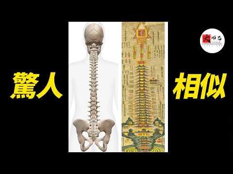 古人到底隐藏了什么秘密?为何三界九地图与人体脊柱如此惊人相似？|seeker大师兄