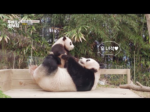 Noob Mommy Ai Bao Becomes A Pro