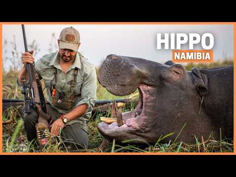 Hunting Africa’s Most Dangerous Animal: The Hippo