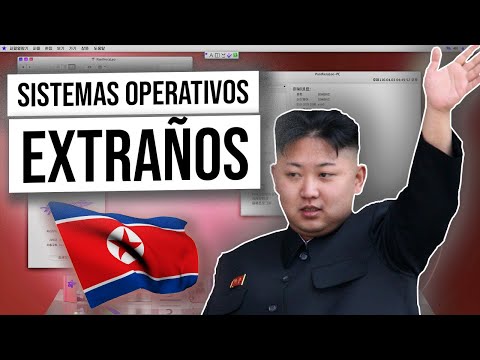 Testing the World's WEIRDEST Operating Systems