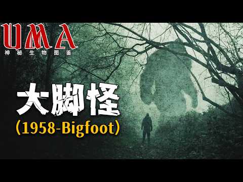 2025年最新目擊報告！俄勒冈州再現大腳怪巨型足印與神秘敲擊聲，科學家緊急趕赴現場！UMA未確認生物圖鑒 #未解之謎 #神秘生物 #揭秘 |迷蹤謎