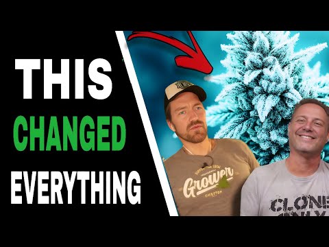 THESE 3 Factors Control Your Yield AND Your Frost