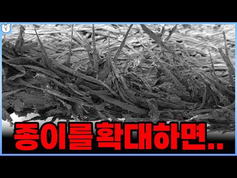 종이에 베이면 눈물나게 아픈 이유