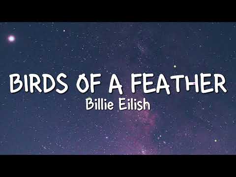 Billie Eilish - BIRDS OF A FEATHER (Lyrics)