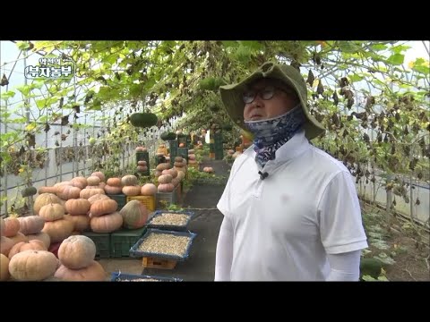 [Ep.114] Annual sales of 200 million with 'Old Pumpkin'?