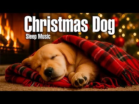 🎄 Christmas Sleep Music for Dogs - Cozy, Calm & Relaxing Holiday Sounds for Peaceful Rest