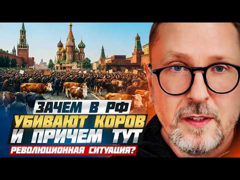 Why are cows being killed in Russia and what does the revolutionary situation have to do with it?