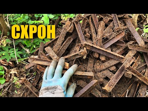 A real successful search! Lots of great finds. Search with a metal detector in Ukraine