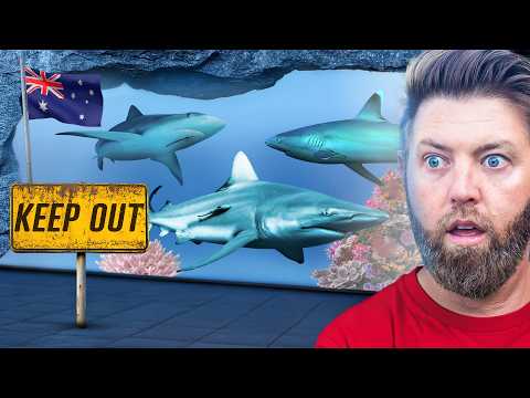 Private Tour of Australia’s Best Aquarium