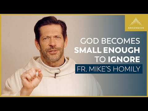 "Small Enough to Ignore" + The Nativity of the Lord (Fr. Mike's Homily)