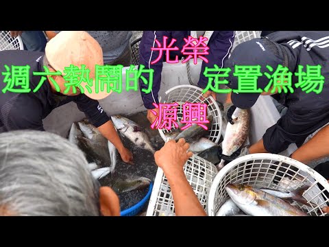 週六很熱鬧的宜蘭頭城光榮及源興定置魚場 這次有很多肥美的紅甘 銅鏡 拉倫 鬍鬚甘 虎頭甘 等等好物
