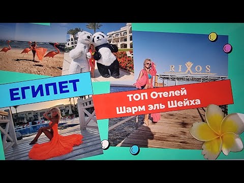 Egypt / Top Hotels in Sharm el-Sheikh