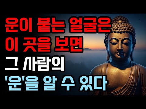 운이 붙는 얼굴은 이 곳을 보면 알 수 있는 방법 7가지 | 부처님 말씀 #관상