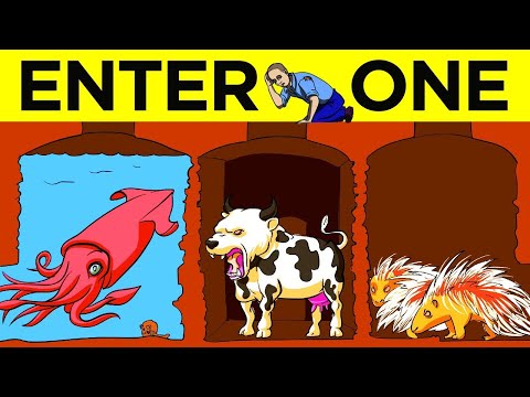 Survival Riddles Only The Smartest 1% Can Solve To Stay Alive