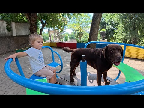 This Labrador Thinks He’s a Kid at the Playground
